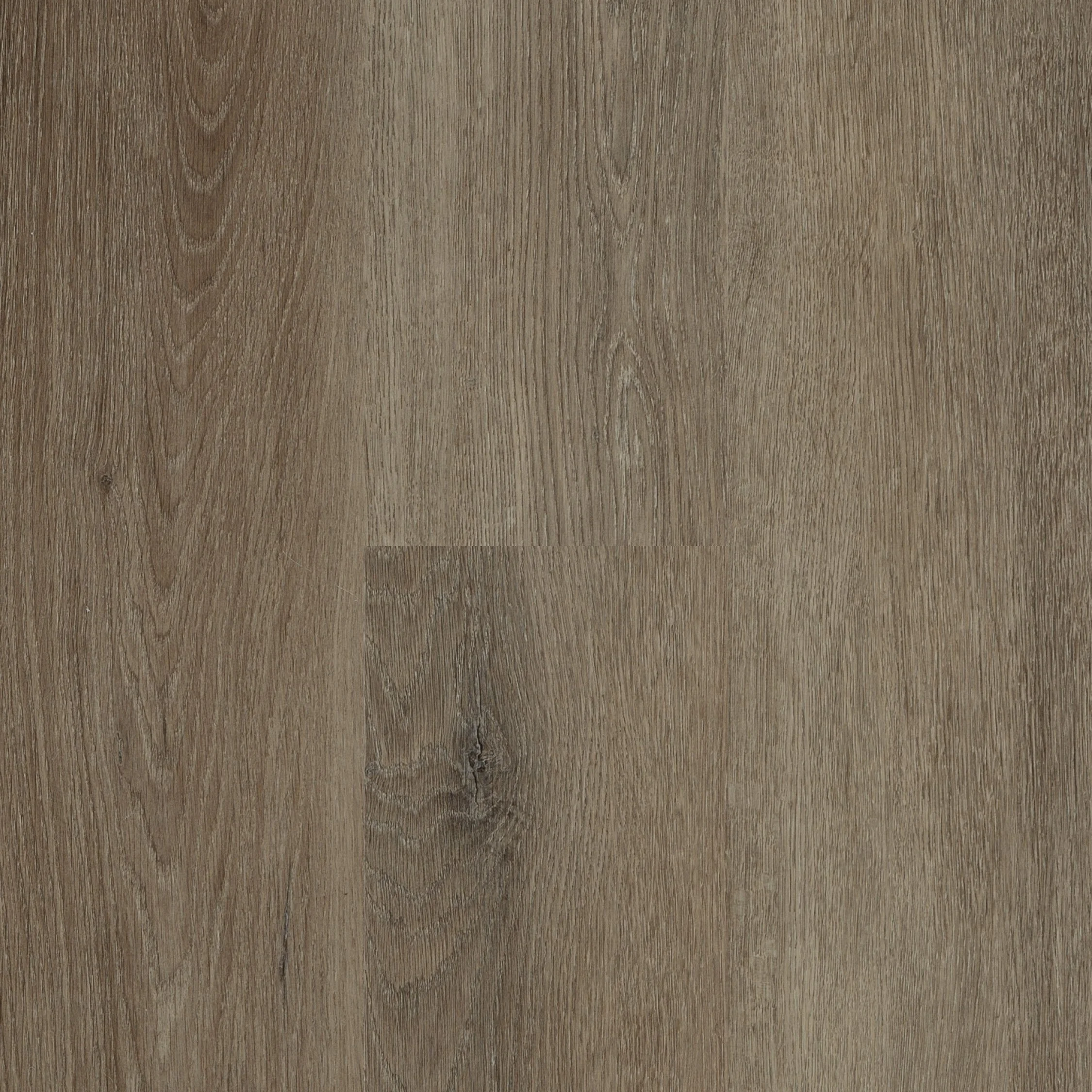 Wildwood — Next Floor®
